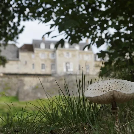 Glamping Chateau De La Chapelle * Anthisnes
