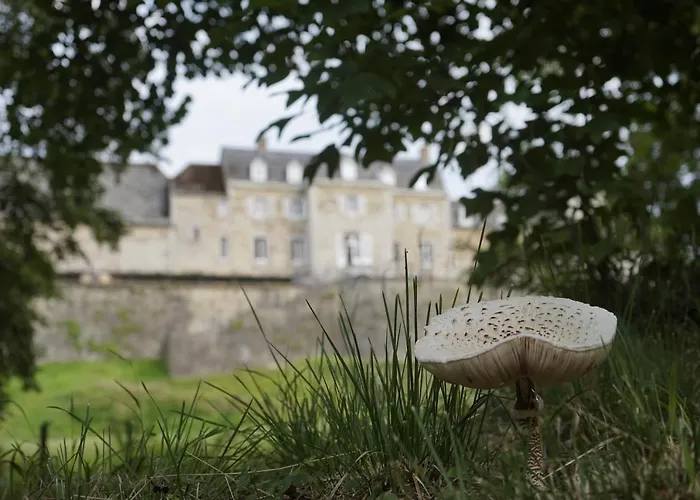 Glamping Chateau De La Chapelle * Anthisnes